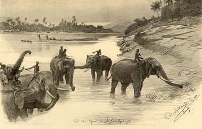 大象在马哈威利河畔，锡兰，1898年。   作者 克里斯蒂安·威廉·艾尔斯