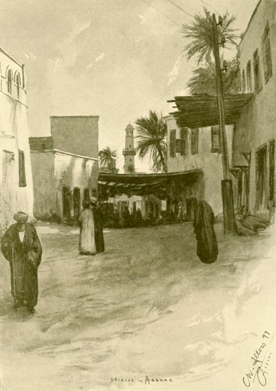 埃及阿斯旺的街道，1898年。 作者 克里斯蒂安·威廉·艾尔斯