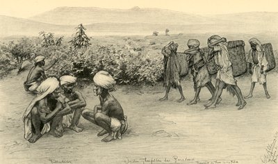 采茶工人，锡兰佩拉登尼亚，1898年。 作者 克里斯蒂安·威廉·艾尔斯