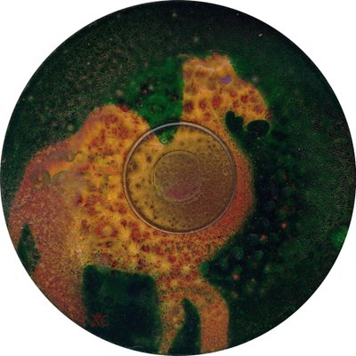 骆驼，约 2023 年（丙烯酸光盘） 作者 克里斯蒂娜·萨吉