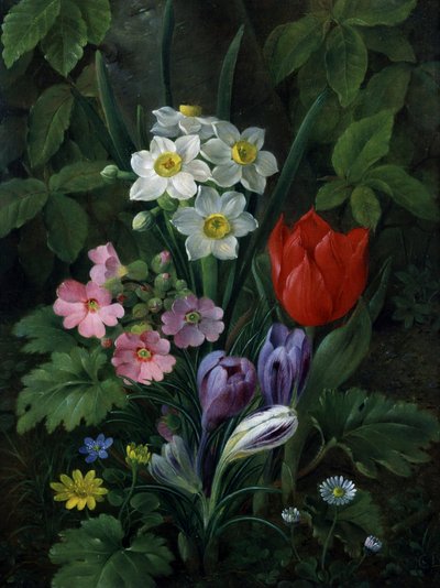 春天的花园花卉（包括雏菊、郁金香、水仙花、番红花和报春花）。克里斯蒂娜-玛丽-洛夫曼德（1803-1872 年）的画作，私人收藏。 作者 克里斯汀·洛夫曼德