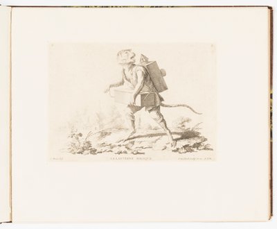 Plate 3, La Lanterne Magique (The Magic Lantern), Singeries ou différentes actions de la vie humaine représentées par des singes (Monkey Antics or Different Actions of Human Life represented by Monkeys) 作者 弗朗索瓦·菲利普·夏彭蒂埃