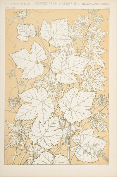叶子来自大自然，1868年（chromolitho） 作者 克里斯托弗·德莱赛