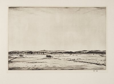 苏塞克斯唐斯，1926 年出版（蚀刻版画） 作者 克里斯托弗·理查德·怀恩·内文森