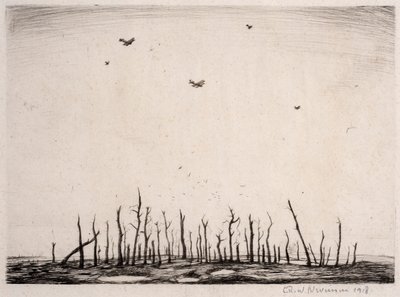 CursèdWood，1918年（干点） 作者 克里斯托弗·理查德·怀恩·内文森