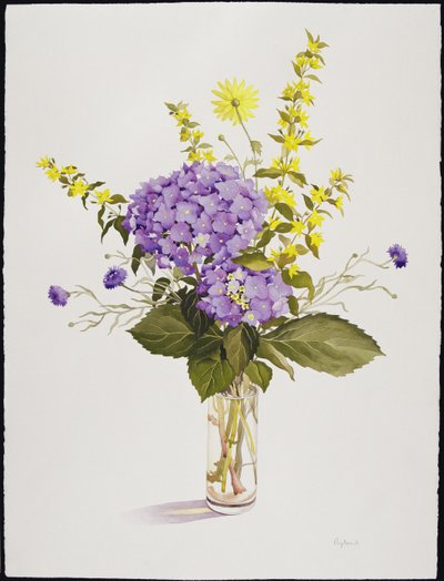 蓝色绣球花与黄色珍珠菜（wc） 作者 克里斯托弗·莱兰