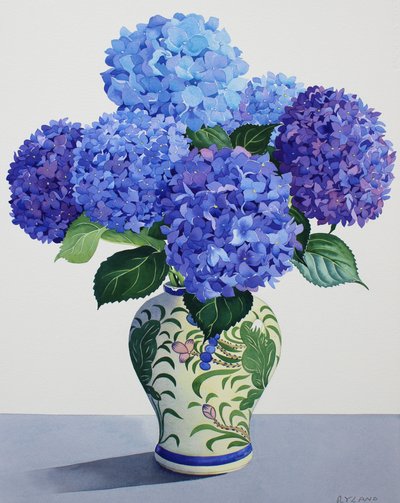 Blue Hydrangeas (watercolour on paper) 作者 克里斯托弗·莱兰