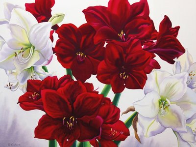 红白相间的孤挺花，2008年（纸上写着） 作者 克里斯托弗·莱兰
