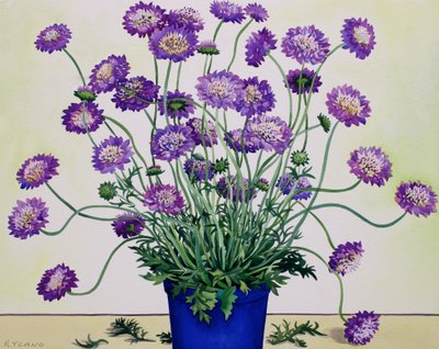 Scabious 作者 克里斯托弗·莱兰