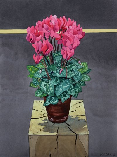 Still Life Cyclamen (watercolour on paper) 作者 克里斯托弗·莱兰