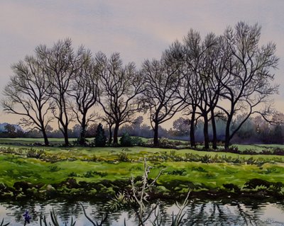 Winter Trees (watercolour on paper) 作者 克里斯托弗·莱兰