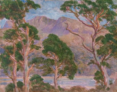 卡德尔-伊德里斯"，1893-1934年 作者 克里斯托弗·威廉姆斯