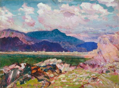北威尔士Dyffwys，约1900-1930。 作者 克里斯托弗·威廉姆斯
