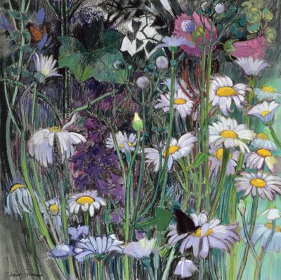 白色花园 作者 克莱尔·斯宾塞