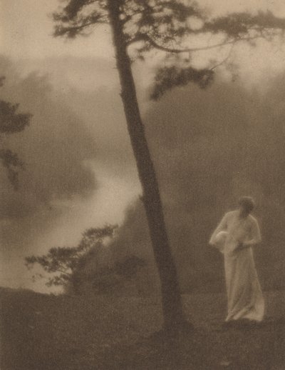 早晨，约1905年。 作者 克拉伦斯 H 怀特