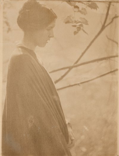阳光》，1899年，1901年印刷。 作者 克拉伦斯 H 怀特