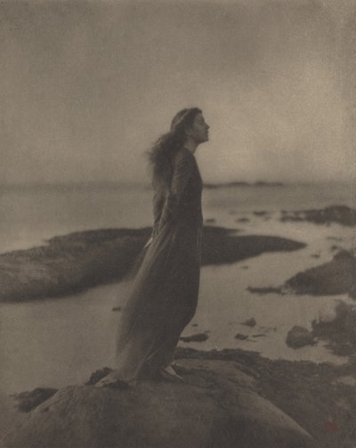 罗斯-帕斯托克斯（Rose Pastor Stokes），1909 年（照片 作者 克拉伦斯·亨利·怀特