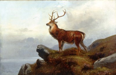 警惕 作者 克拉伦斯·罗