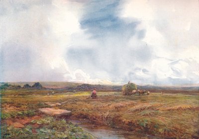 海菲尔德（Hayfield），1872-1906年，1906年。 作者 克劳德·海斯（Claude Hayes）