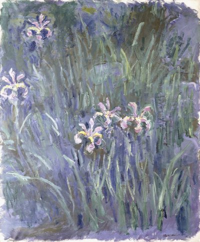 虹膜，约1914-1917年 作者 克劳德·莫奈