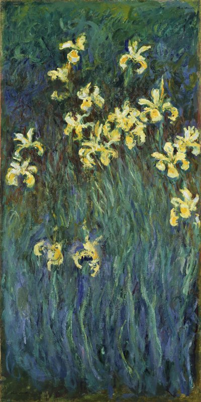黄色鸢尾花（1914-1917） 作者 克劳德·莫奈