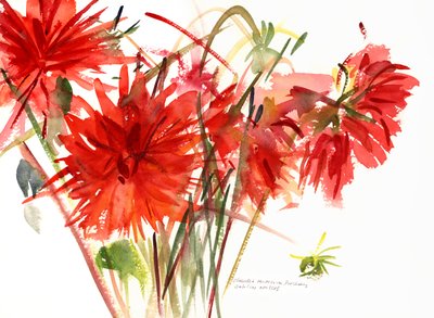 达利亚斯，2002年（水彩画） 作者 克劳迪娅·哈钦斯（Claudia Hutchins）