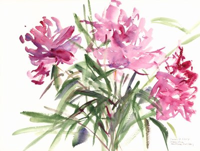 Peonies，2004（水彩画） 作者 克劳迪娅·哈钦斯（Claudia Hutchins）