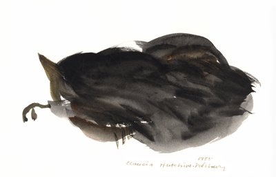 睡猫，1985年（水彩画） 作者 克劳迪娅·哈钦斯（Claudia Hutchins）