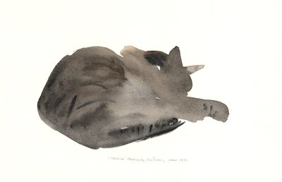 睡猫，1985年（水彩画） 作者 克劳迪娅·哈钦斯（Claudia Hutchins）