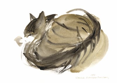 睡猫，1985年（水彩画） 作者 克劳迪娅·哈钦斯（Claudia Hutchins）