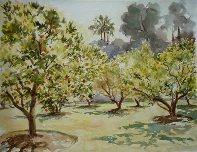 马穆尼亚，橘子林，2000 年（水彩画） 作者 克莱夫·威尔逊