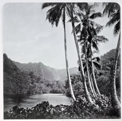 来自&39;Tahiti&39;的Hitiaa Lake于1882年在伦敦出版 作者 斯图尔特·沃特利上校
