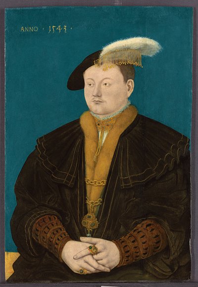 弗里德里希·马格努斯·冯·索姆斯-劳巴赫的画像，1543年 作者 Conrad Faber