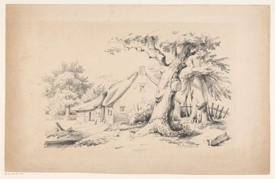 农舍和两棵树
风景（系列名称） 作者 希尔玛·约翰内斯·贝克尔
