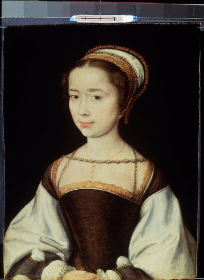 "年轻女子的肖像" 科尔内耶-德-里昂（Corneille de La Haye）（1500/1510-1574 年）的画作 1530 年左右 尺寸 20x15.5 厘米 圣彼得堡，冬宫博物馆 作者 科尔内耶德拉海耶
