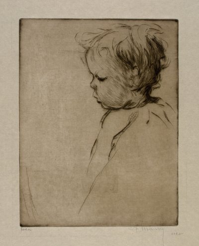 琼 作者 科妮莉亚·F·莫里