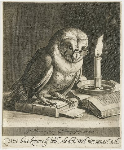 戴着眼镜和书籍的猫头鹰。约于1625年 作者 科尼利斯·布洛埃马特（Cornelis Bloemaert）