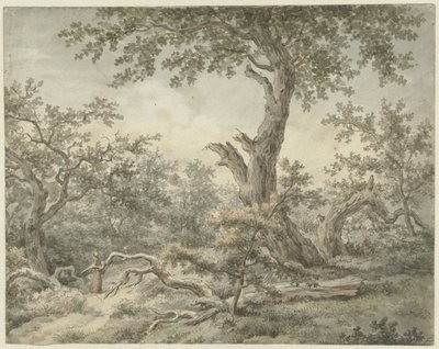 森林景观 作者 Cornelis Buys