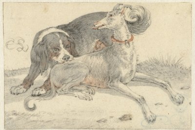 灰狗和鹧鸪猎犬 作者 科尼利斯·萨夫特文