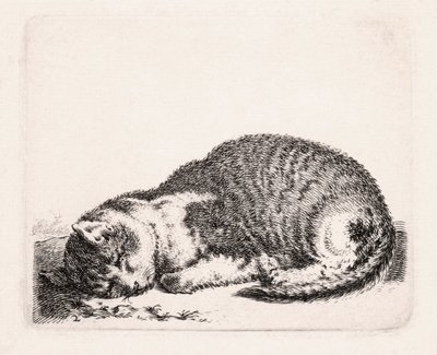 睡猫，c.1607-81 作者 科尼利斯·萨夫特文