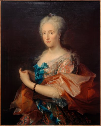 一位女士的肖像，四分之三的身影在左边 作者 Cornelis Troost