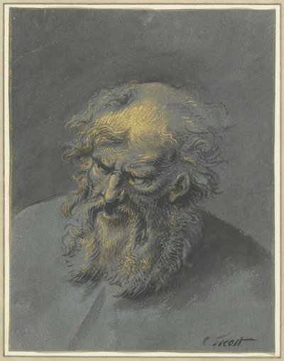 留胡子老人（使徒或哲学家）的头像 作者 Cornelis Troost