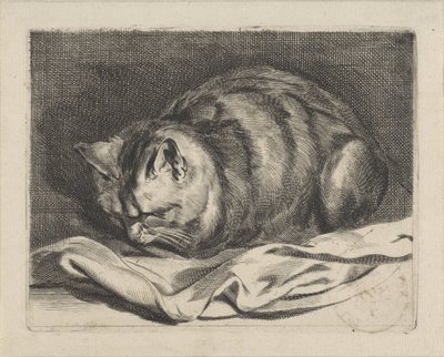 小猫 作者 科内利斯·维舍尔 (II)