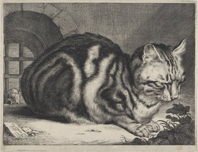 大猫 作者 科内利斯·维舍尔 (II)
