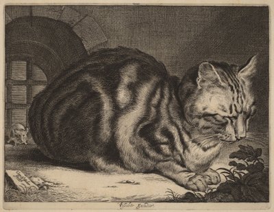 大猫 作者 科尼利斯·维舍
