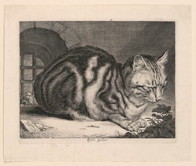 大猫 作者 科尼利斯·维舍