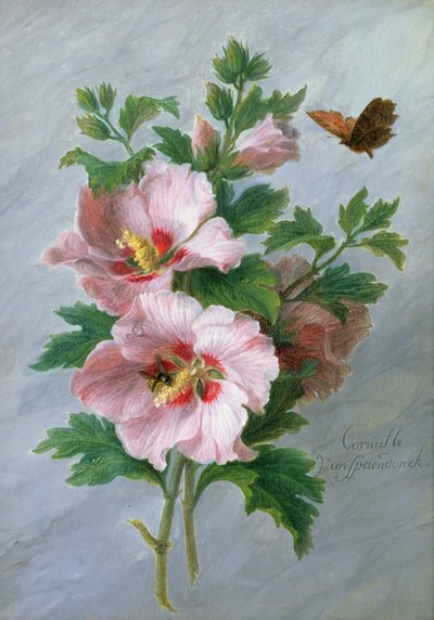 芙蓉对大理石壁架 作者 Cornelis van Spaendonck