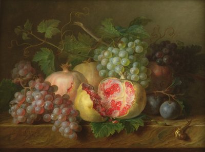 石榴，葡萄和李子在大理石壁架（面板）上的静物 作者 Cornelis van Spaendonck