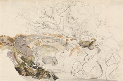 桥梁和树木 作者 科尼利厄斯·瓦利