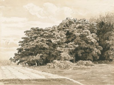 Wrottesley Hall-灌木丛：棕褐色绘画，1820年 作者 科尼利厄斯·瓦利